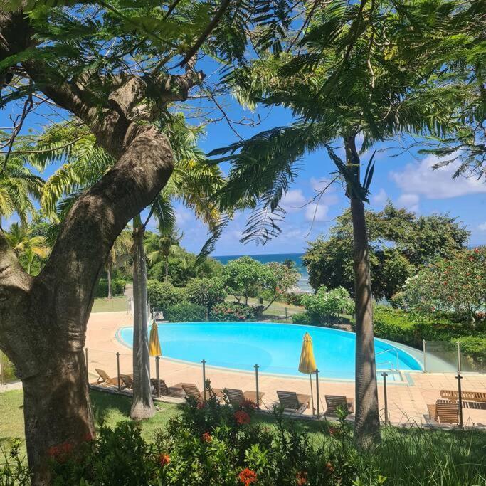 Magnifique Studio Pierre Et Vacances Piscine & Plage Сен-Ан Екстериор снимка